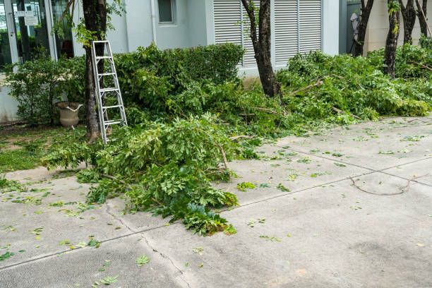 Lawn Drainage Solutions in North Augusta, SC